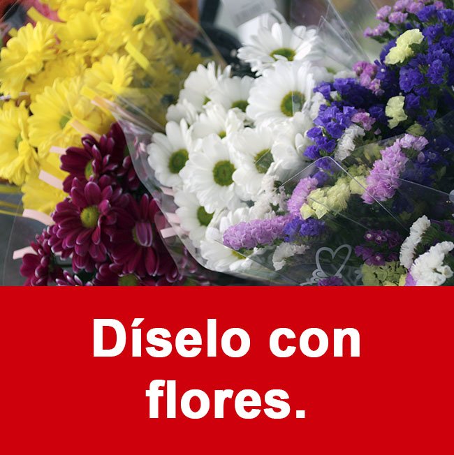 imagen banner flores